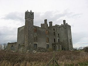Athcarne Castle, Co. Meath - geograph.org.uk - 744437