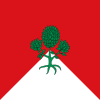 Flag of Bugedo