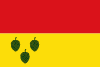 Flag of La Quar