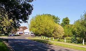 Barnett Wood Lane pond (June 2021).jpg