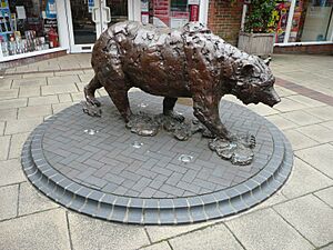Bear sculpture in Westbrook Walk, Alton, Hampshire, England