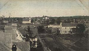 Birdseye view of Thomasville 1880s