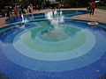 Bolgatty Palace Swimming Pool