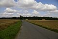Bulls Cross Wood - geograph.org.uk - 951783