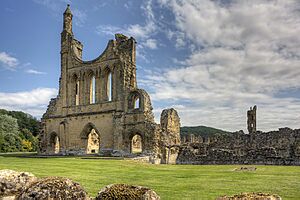BylandAbbey-7Je11-24105
