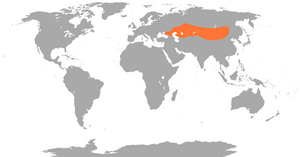 Camelus bactrianus distribution map.png