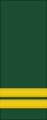 Canadian Army (sleeves) OF-2