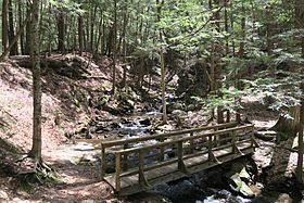 Chesterfield Gorge, Chesterfield NH.jpg