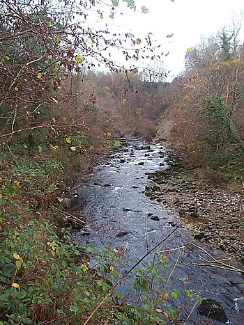 Cladagh River in Cladagh Glen, County Fermanagh.jpg
