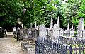 Coming-street-cemetery-sc1