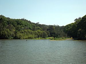 Currumbin Creek at Robert Neumann Park in Currumbin Valley, Queensland