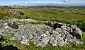 Cytiau Celtaidd - Celtic Iron Age Huts at Mynydd Twr, Caergybi (Holyhead), Wales 2021 05