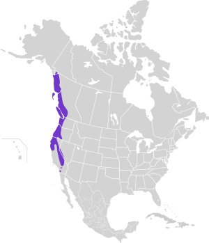 Dendragapus fuliginosus map.svg