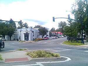 Downtown Chickamauga 002