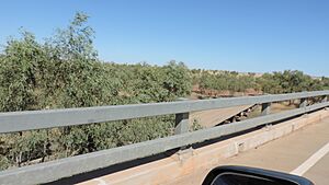 Driving across the Georgina River Bridge from Camooweal looking south towards the old bridge below, 2019
