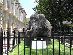 Elephanta Elephant