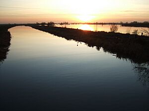 Evening calm - The Ouse Washes at Sutton Gault - geograph.org.uk - 1615426
