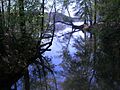 Fall Mtn Trail - Morrow Mtn State Park