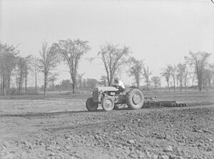 Farm. Tractor - Farm, Ville LaSalle BAnQ P48S1P08968