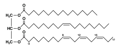 Fat triglyceride shorthand formula