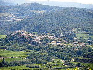 Faucon Vue d'ensemble 2