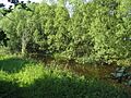 Former canal, Wymondham Rough SSSI - geograph.org.uk - 179301