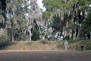 Fort Morris mounds (Midway, GA)