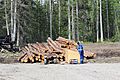 Fort Nelson Forestry