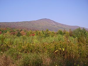GREYLOCK