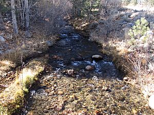 Galena Creek, near Reno, Nevada