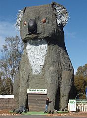 Giant Koala Tourist Attraction