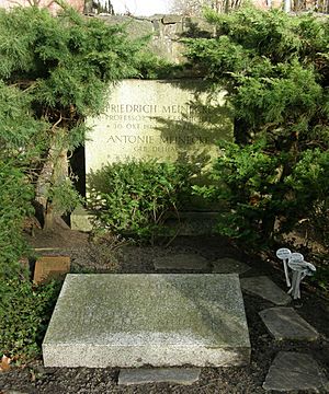 Grab Friedrich Meinecke