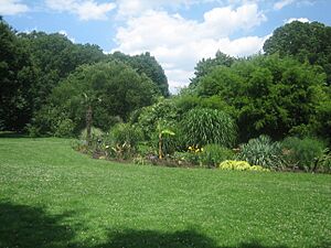Greenery at Brooklyn Botanic Gardens IMG 0649