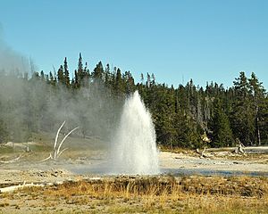 Grotto fountain geyser 20100825 173237 1