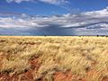 Gunbarrel Hwy, Gibson Desert Nature Reserve, Western Australia, Australia.June2017.IMG1228