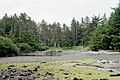 Haida villagesite