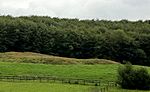 Hales Castle: a ringwork and associated earthworks on Coles Hill