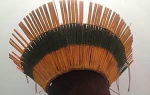 Headdress, San Juan, collected in late 19th century - Native American collection - Peabody Museum, Harvard University - DSC05526