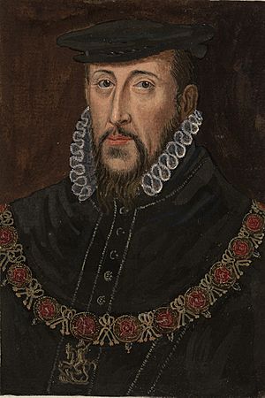 Henry Fitzalan Earl of Arundel