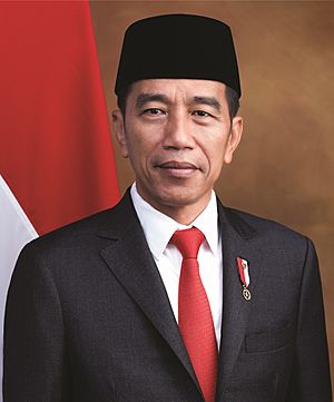Jokowi in 2019