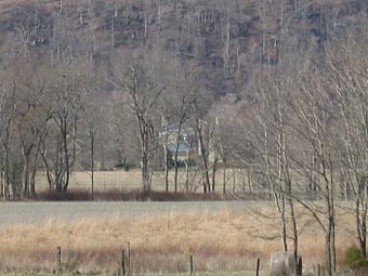 Kintner-Withers House from the road.jpg