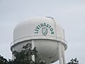 Livingston, TX, water tower IMG 8288