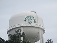 Livingston, TX, water tower IMG 8288