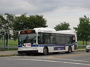 MTA New York City Bus Orion VII Next Generation 4017