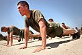 Marines do pushups
