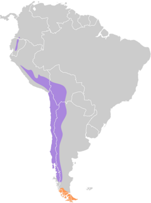 Metriopelia melanoptera map.svg