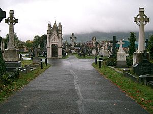 Milltown Cemetery - geograph.org.uk - 101946