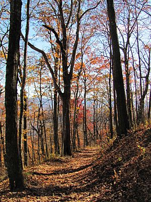 Mount Sterling, North Carolina Fall Foliage 2