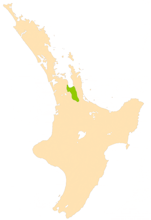 NZ-Hauraki P