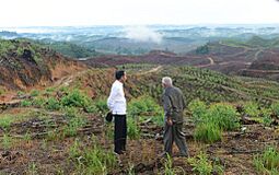 Nusantara, Indonesia - President visiting the new capital